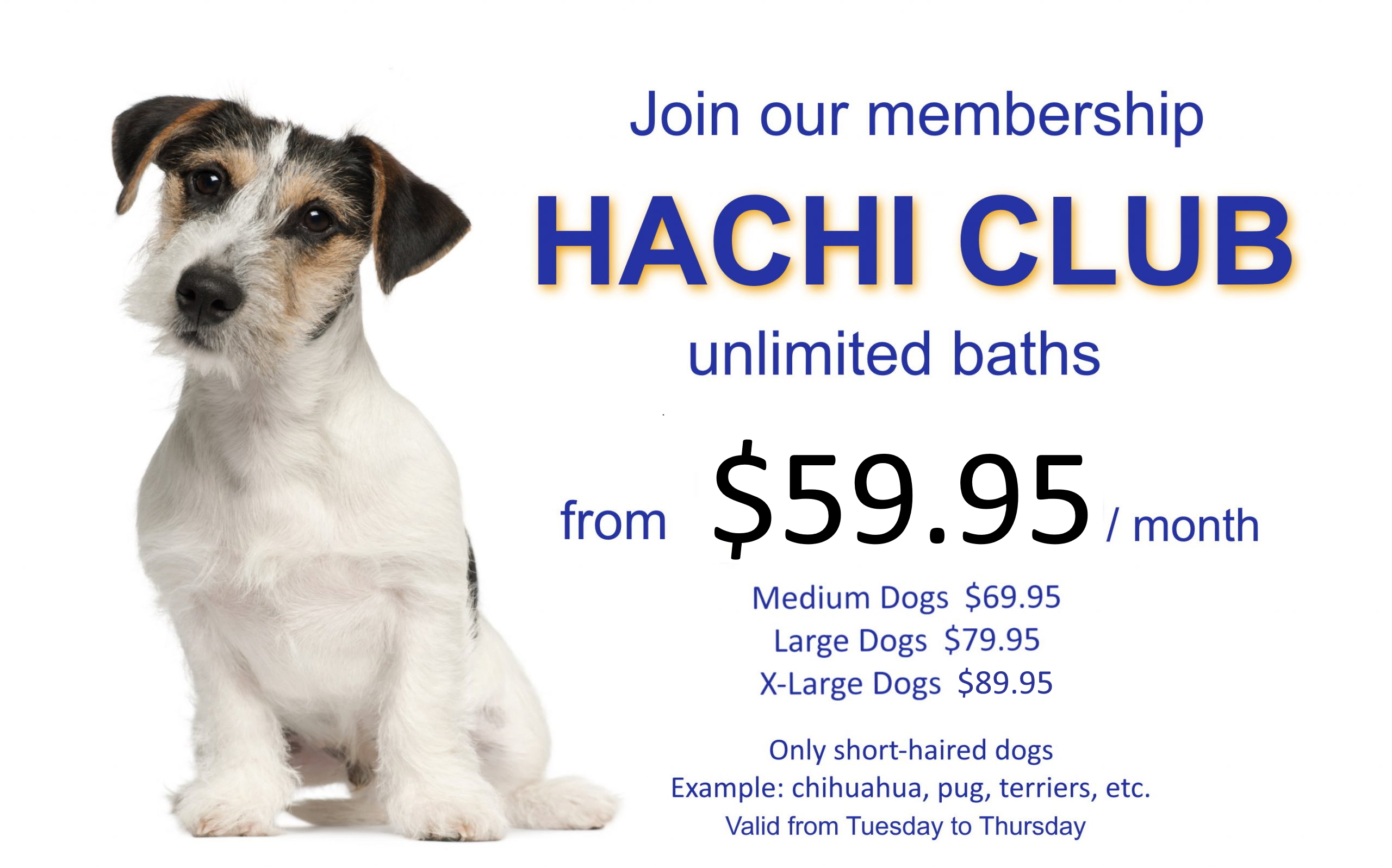 Hachi Club
