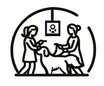 HOME 2 Dog Grooming Personalized Service